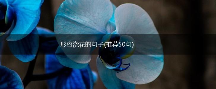 形容浇花的句子(推荐50句),第1张