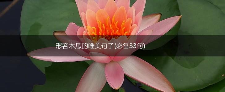 形容木瓜的唯美句子(必备33句),第1张 形容木瓜的唯美句子(必备33句),第1张