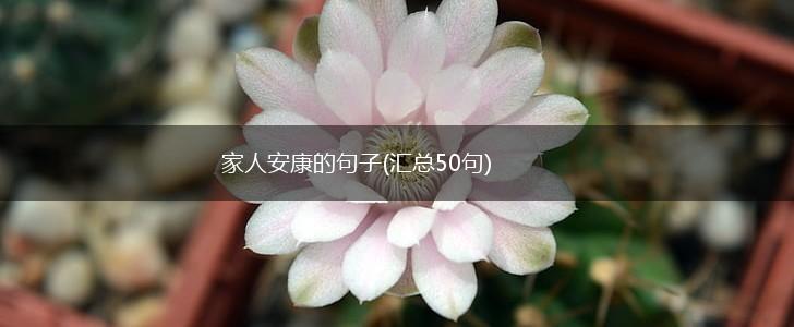 家人安康的句子(汇总50句),第1张