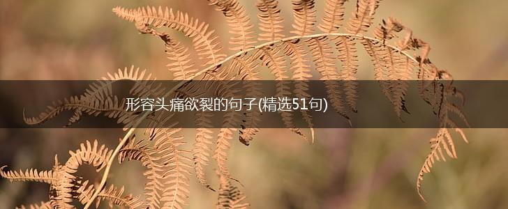 形容头痛欲裂的句子(精选51句),第1张