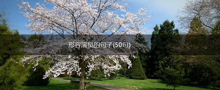 形容演员的句子(50句),第1张