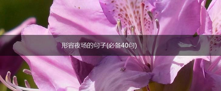 形容夜场的句子(必备40句),第1张