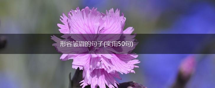 形容皱眉的句子(实用50句),第1张