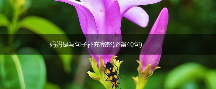 妈妈是写句子补充完整(必备40句),第1张