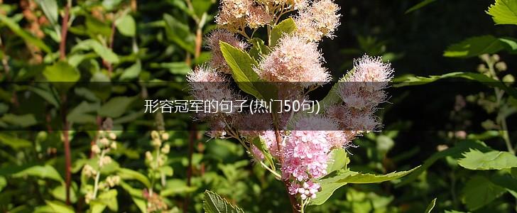 形容冠军的句子(热门50句),第1张