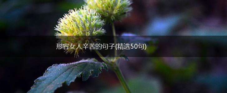 形容女人辛苦的句子(精选50句),第1张