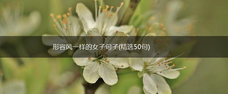 形容风一样的女子句子(精选50句),第1张
