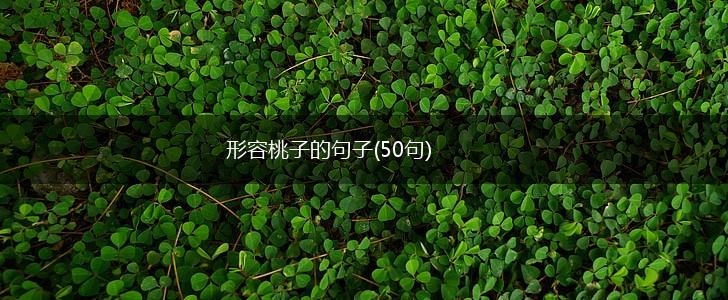 形容桃子的句子(50句),第1张