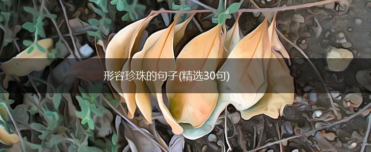 形容珍珠的句子(精选30句),第1张