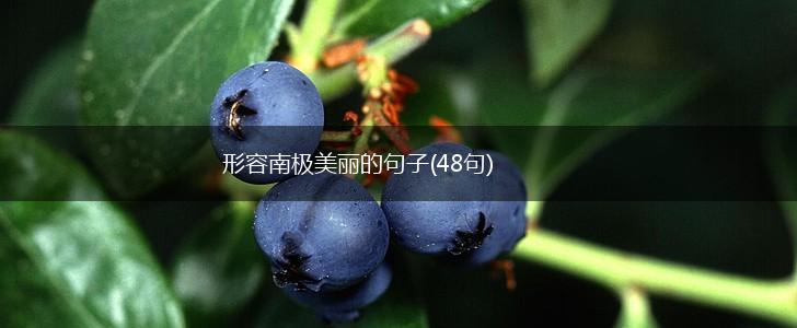 形容南极美丽的句子(48句),第1张