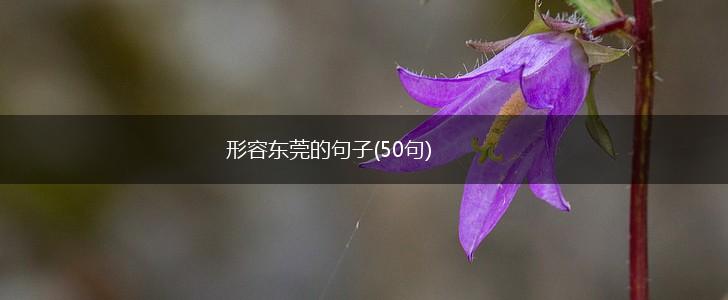 形容东莞的句子(50句),第1张