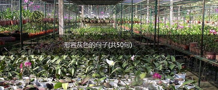 形容灰色的句子(共50句),第1张