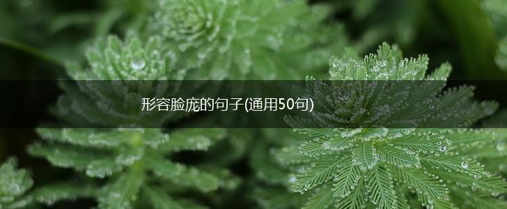 形容脸庞的句子(通用50句),第1张
