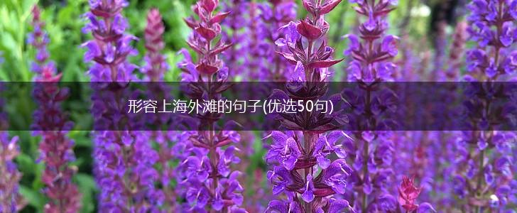 形容上海外滩的句子(优选50句),第1张