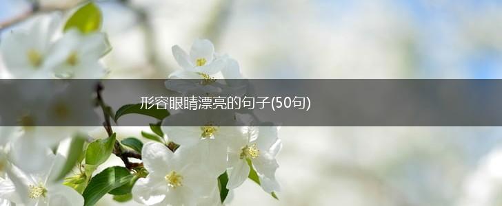形容眼睛漂亮的句子(50句),第1张