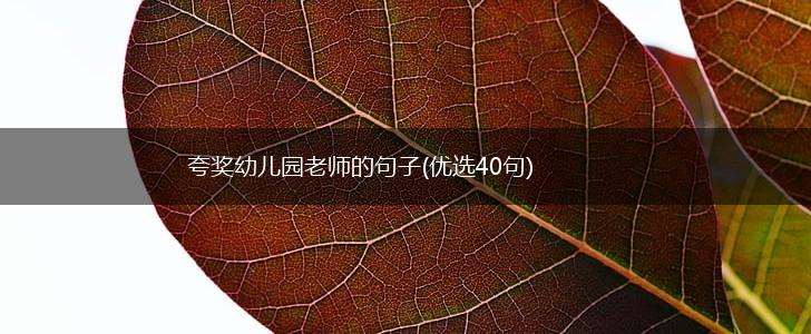 夸奖幼儿园老师的句子(优选40句),第1张