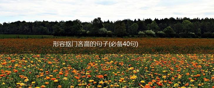 形容抠门吝啬的句子(必备40句),第1张