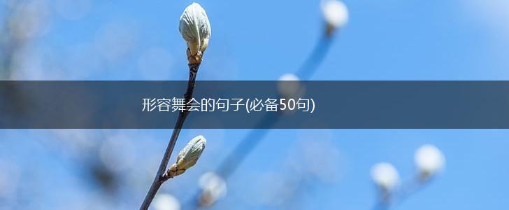 形容舞会的句子(必备50句),第1张