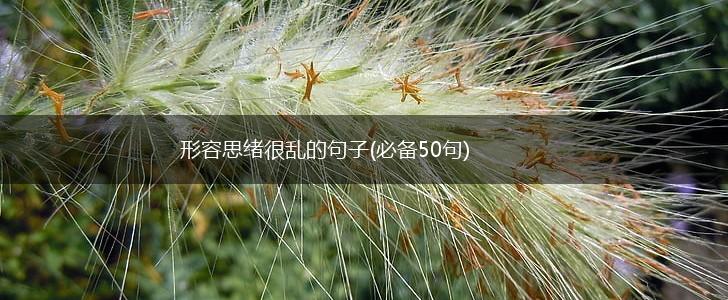 形容思绪很乱的句子(必备50句),第1张