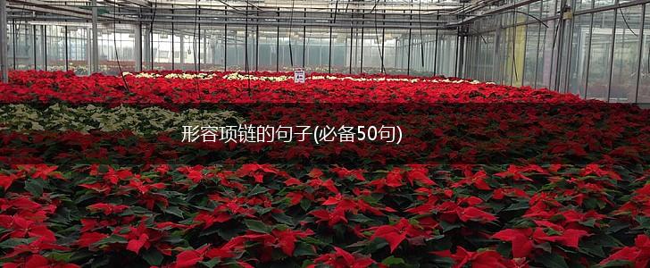 形容项链的句子(必备50句),第1张 形容项链的句子(必备50句),第1张