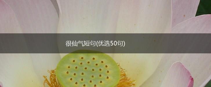 很仙气短句(优选50句),第1张 很仙气短句(优选50句),第1张