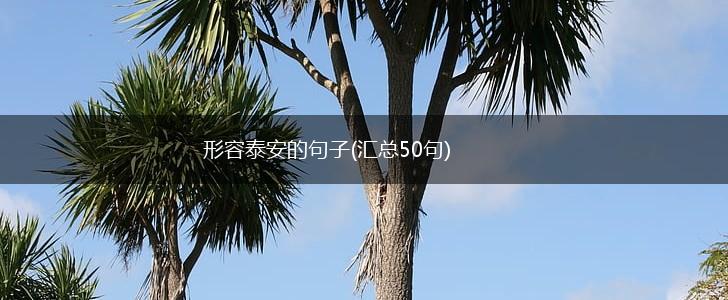 形容泰安的句子(汇总50句),第1张