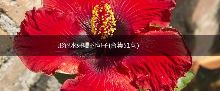 形容水好喝的句子(合集51句),第1张
