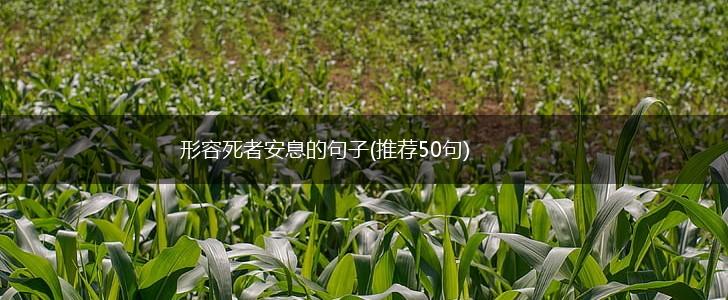 形容死者安息的句子(推荐50句),第1张