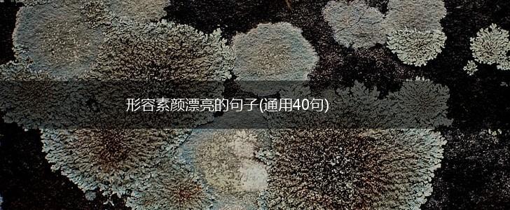 形容素颜漂亮的句子(通用40句),第1张