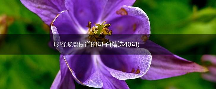 形容玻璃栈道的句子(精选40句),第1张