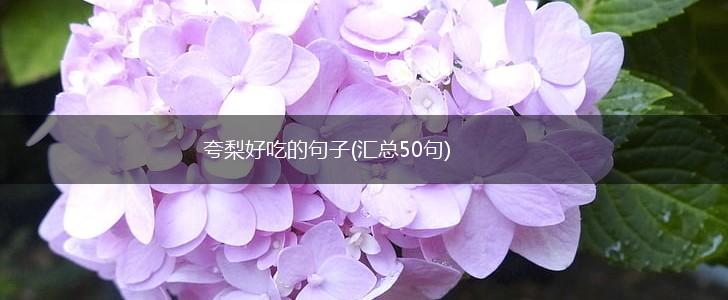夸梨好吃的句子(汇总50句),第1张