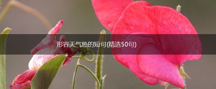 形容天气热的短句(精选50句),第1张