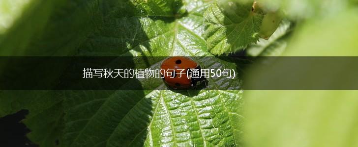 描写秋天的植物的句子(通用50句),第1张