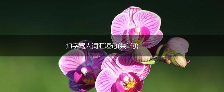 扣字骂人词汇短句(共1句),第1张 扣字骂人词汇短句(共1句),第1张