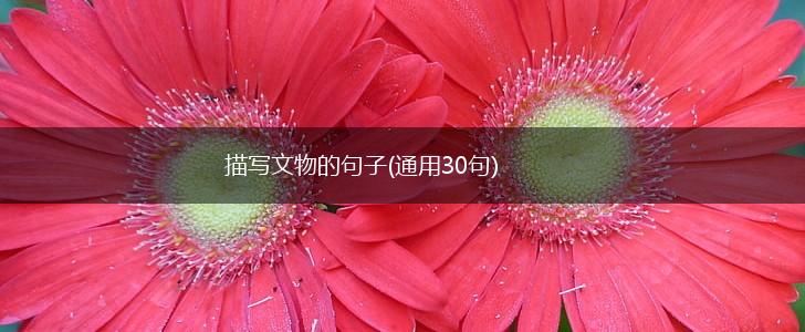 描写文物的句子(通用30句),第1张