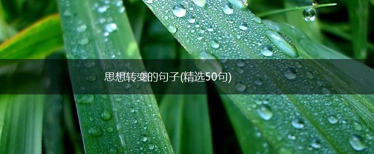 思想转变的句子(精选50句),第1张