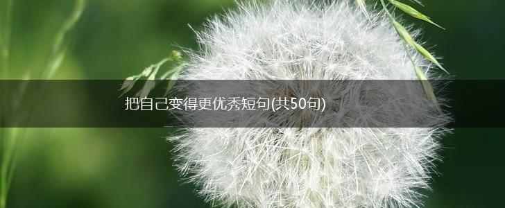 把自己变得更优秀短句(共50句),第1张