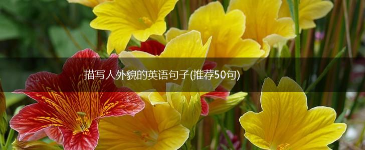 描写人外貌的英语句子(推荐50句),第1张