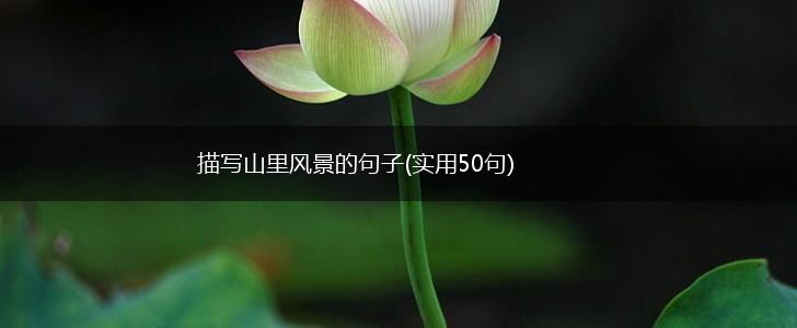 描写山里风景的句子(实用50句),第1张