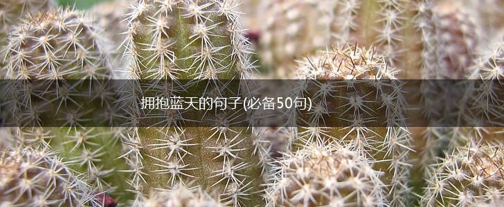 拥抱蓝天的句子(必备50句),第1张