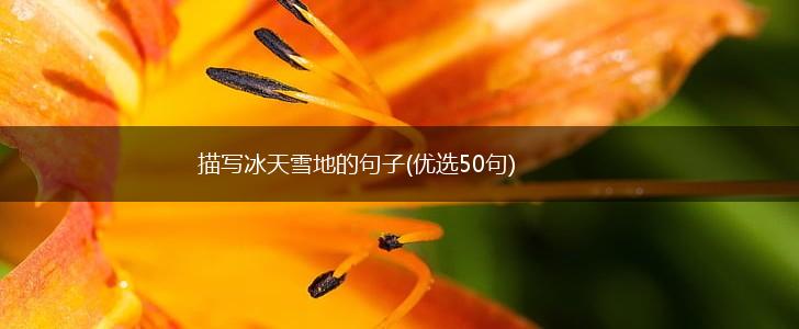 描写冰天雪地的句子(优选50句),第1张