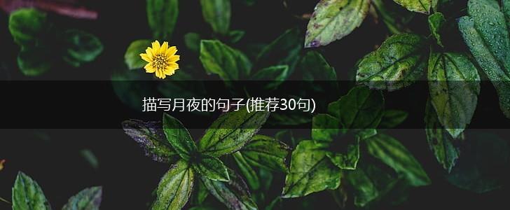 描写月夜的句子(推荐30句),第1张