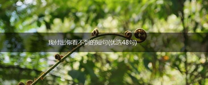 我付出你看不到的短句(优选48句),第1张