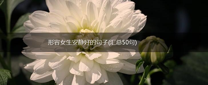 形容女生安静好的句子(汇总50句),第1张
