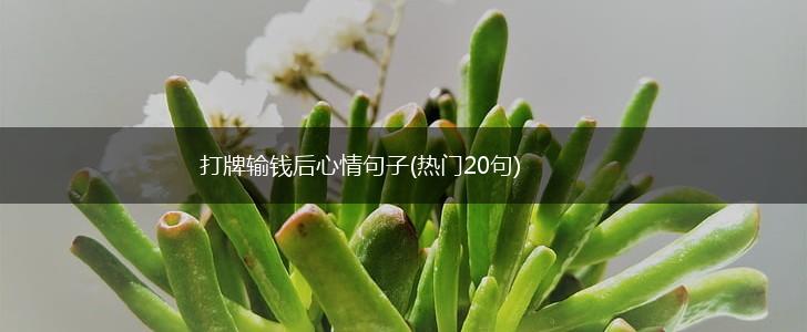 打牌输钱后心情句子(热门20句),第1张