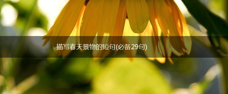 描写春天景物的短句(必备29句),第1张 描写春天景物的短句(必备29句),第1张