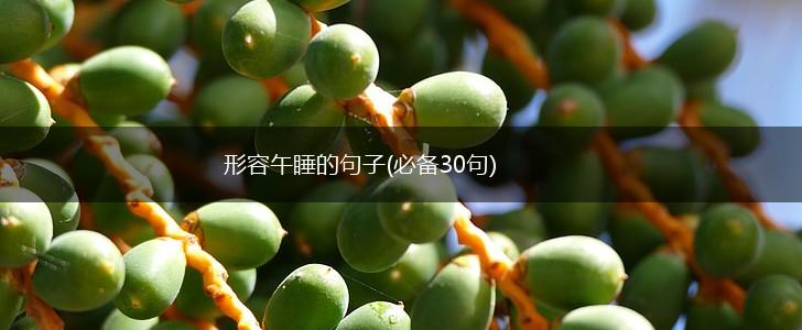 形容午睡的句子(必备30句),第1张