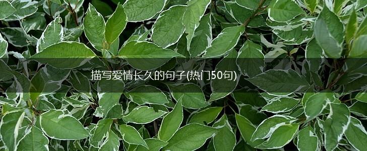 描写爱情长久的句子(热门50句),第1张