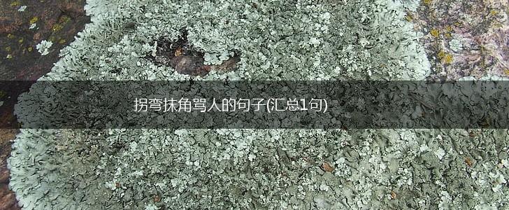 拐弯抹角骂人的句子(汇总1句),第1张