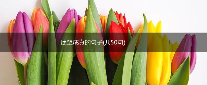 愿望成真的句子(共50句),第1张
